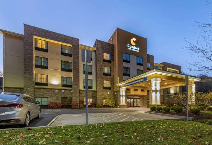 酒店 Comfort Inn & Suites Pittsburgh South