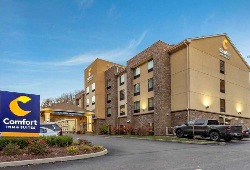 בית מלון כפרי Comfort Inn & Suites Pittsburgh South