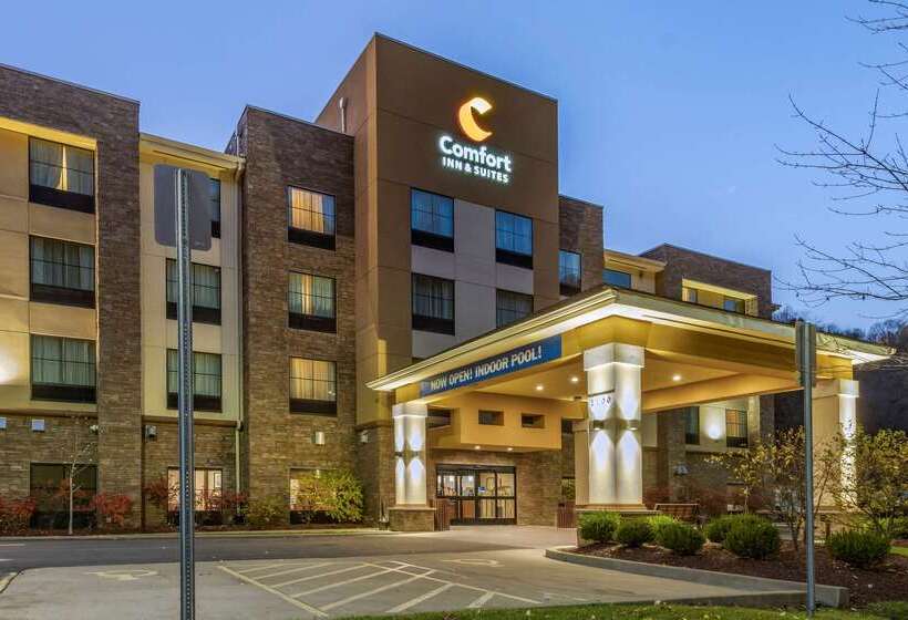 בית מלון כפרי Comfort Inn & Suites Pittsburgh South