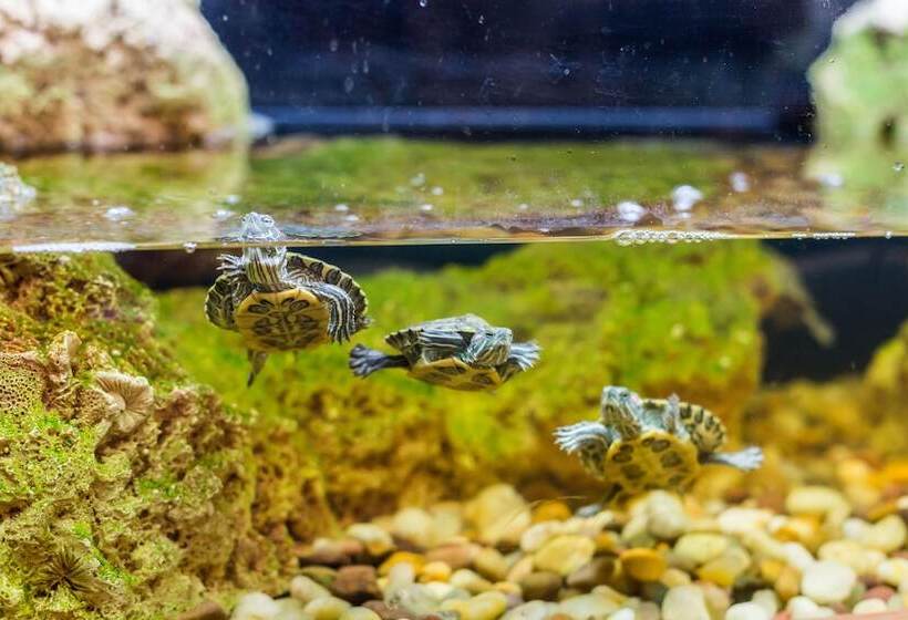 호텔 Dom Romanovykh Mini