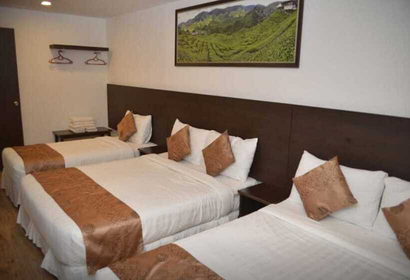 בית מלון כפרי Highlanders