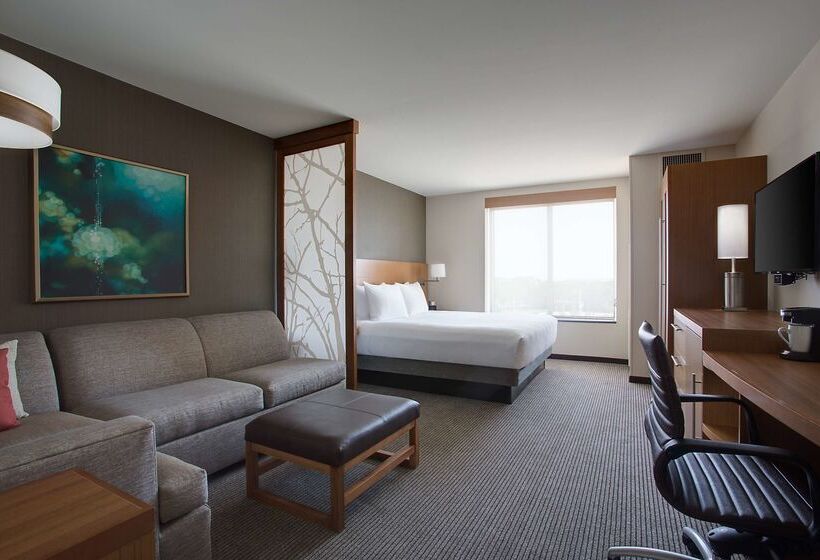 Отель Hyatt Place Dfw