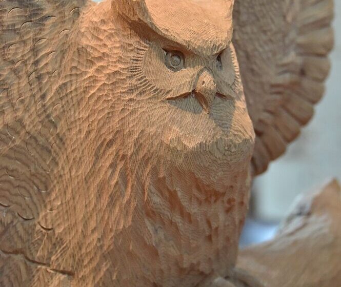 בית מלון כפרי La Vista Akangawa