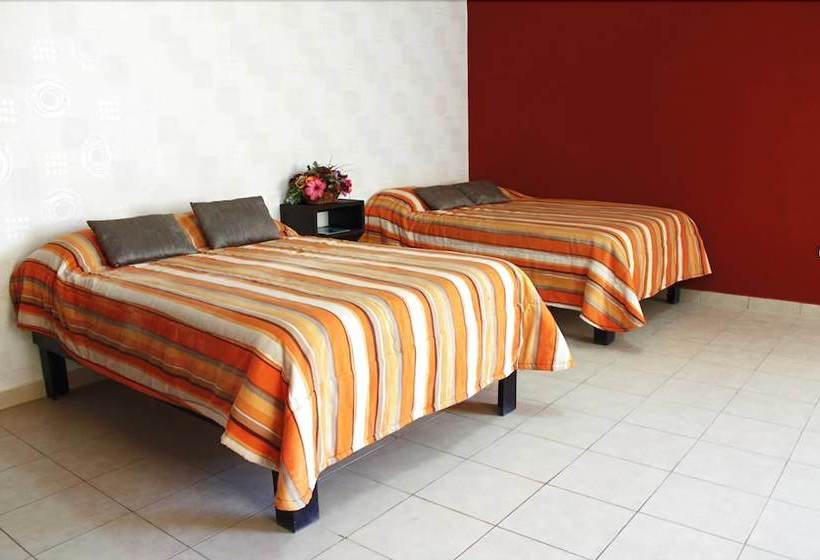 فندق Kino Bonito