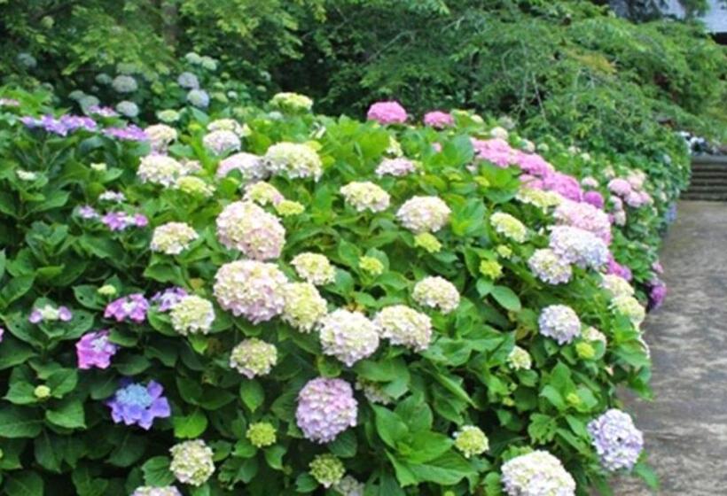 酒店 Kyukamura Tateyama