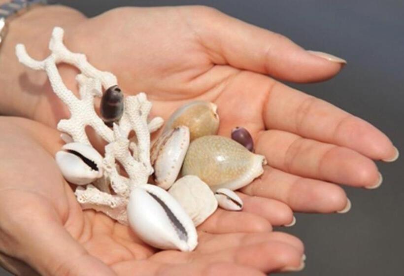 酒店 Kyukamura Tateyama