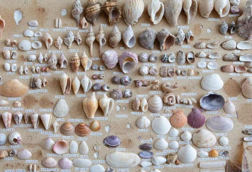 酒店 Kyukamura Tateyama