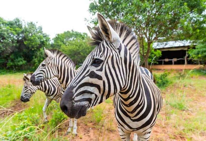 בית מלון כפרי Leopard Walk Lodge