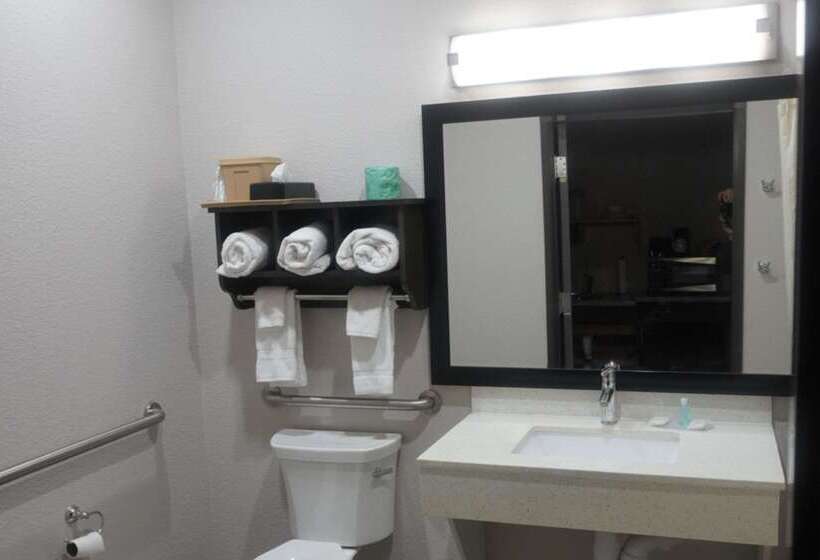 酒店 Mainstay Suites Odessa I20