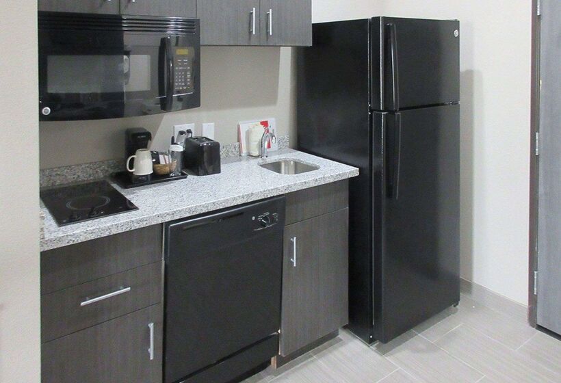 酒店 Mainstay Suites Odessa I20