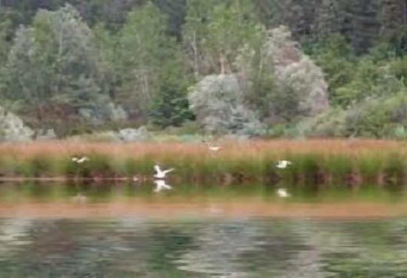 호텔 Molino Le Gualchiere