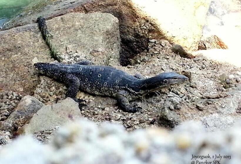 Hotel Pangkor Guesthouse Spk