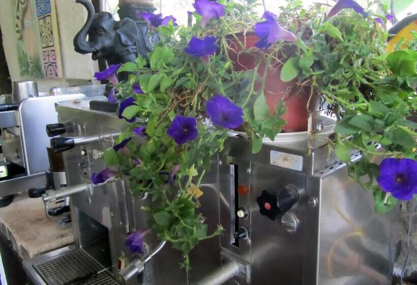 ホテル Spirit Of Jungle Lodge