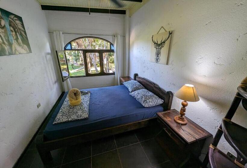 ホテル Spirit Of Jungle Lodge