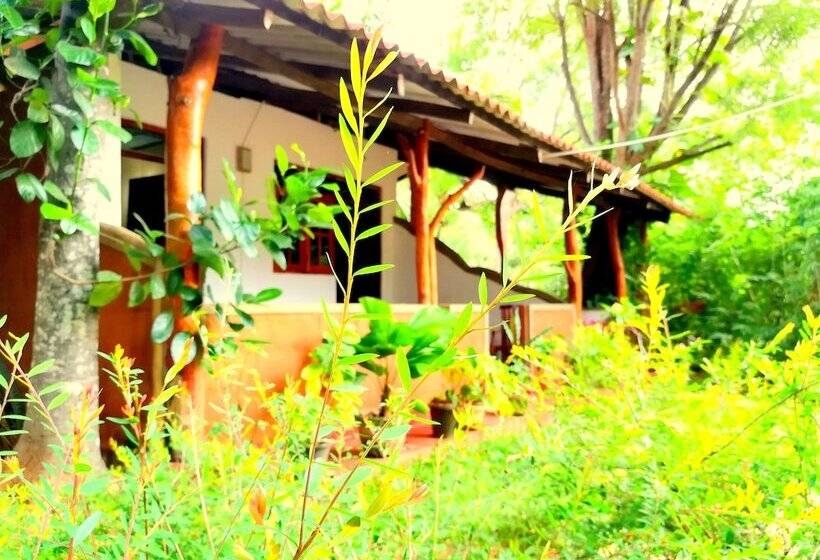 Отель Sisira Natural Lodge Sigiriya