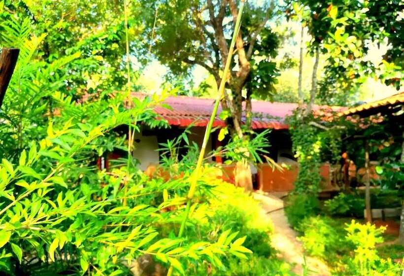 Отель Sisira Natural Lodge Sigiriya
