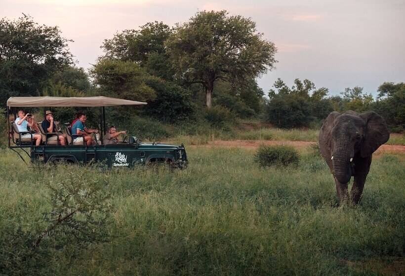 בית מלון כפרי Tshukudu Game Lodge