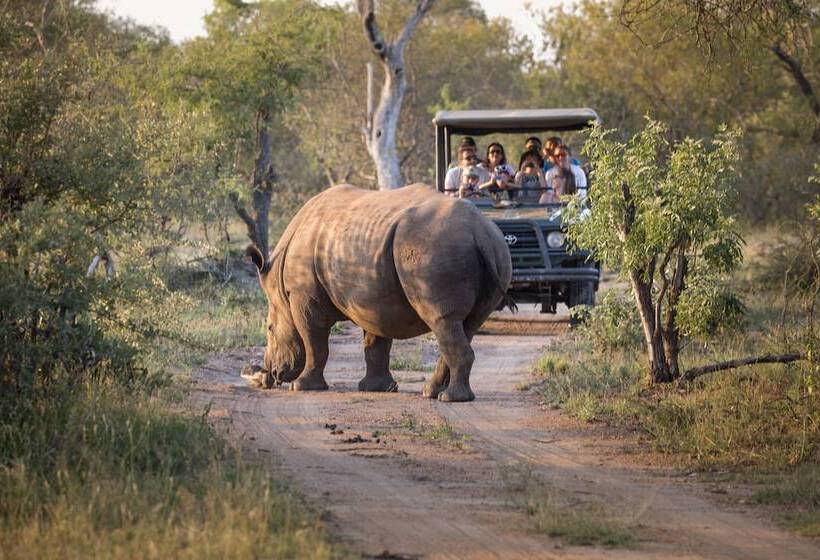 ホテル Tshukudu Game Lodge
