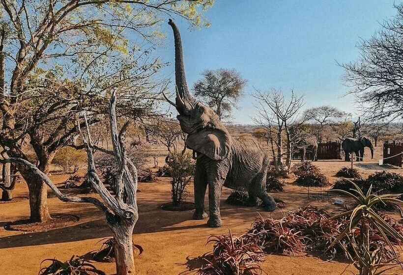 בית מלון כפרי Tshukudu Game Lodge