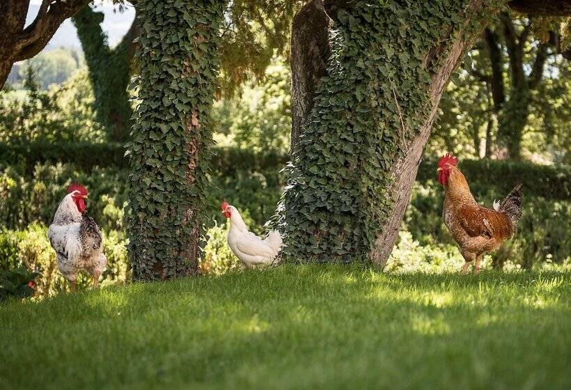 فندق Villa Montegranelli