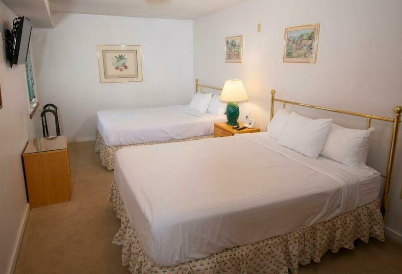 Mountain Lodge At Okemo