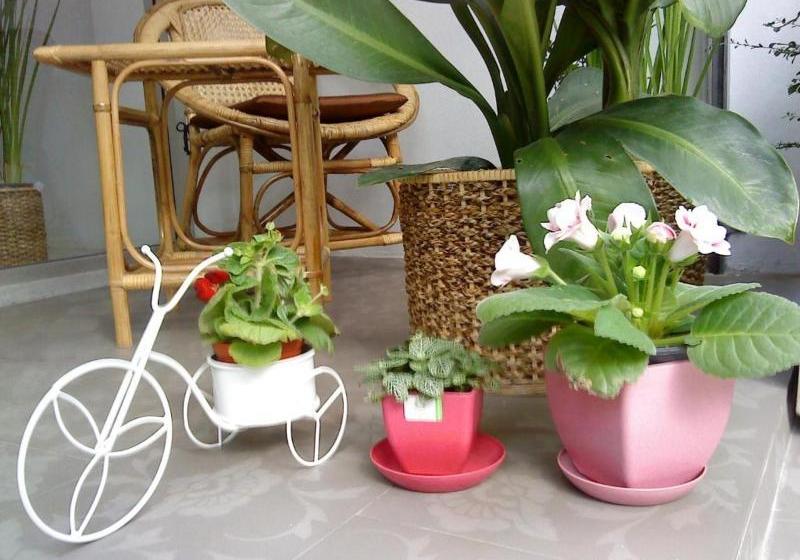 Пансион Sabai House