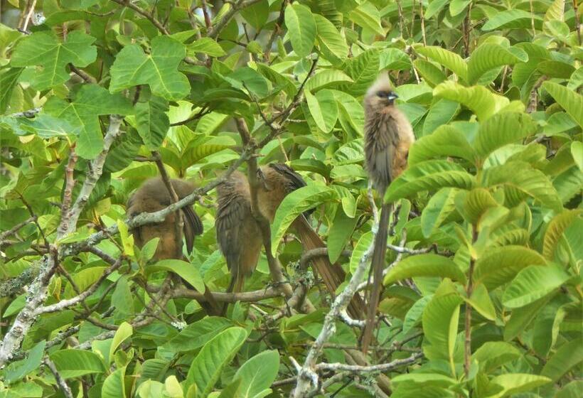 פנסיון Swellendam Country Lodge  Guest House  B&b