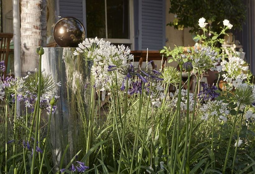 פנסיון Yellow Aloe