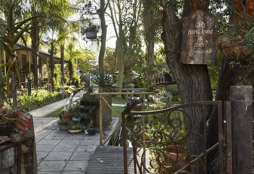 פנסיון Yellow Aloe