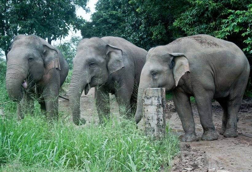 Курорт Amaranta Classic Retreat