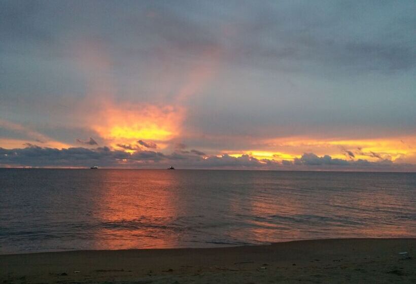 Roshanne Beach Resort