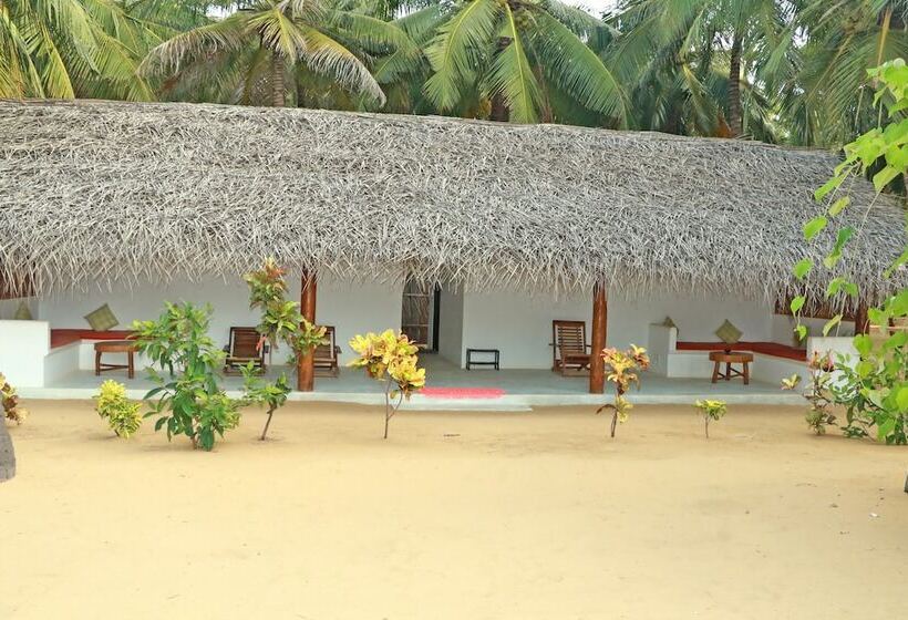 Roshanne Beach Resort