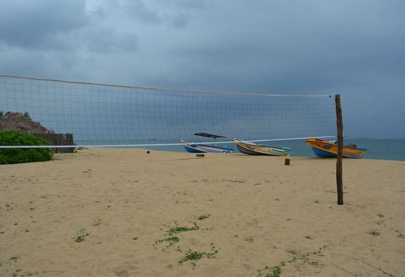 Roshanne Beach Resort