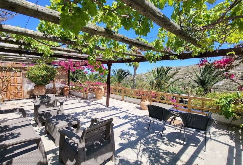 Studios Stella & Stella S Traditional