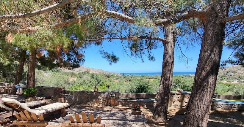 Studios Stella & Stella S Traditional