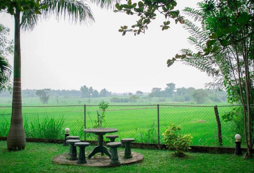 Tishan Holiday Resort