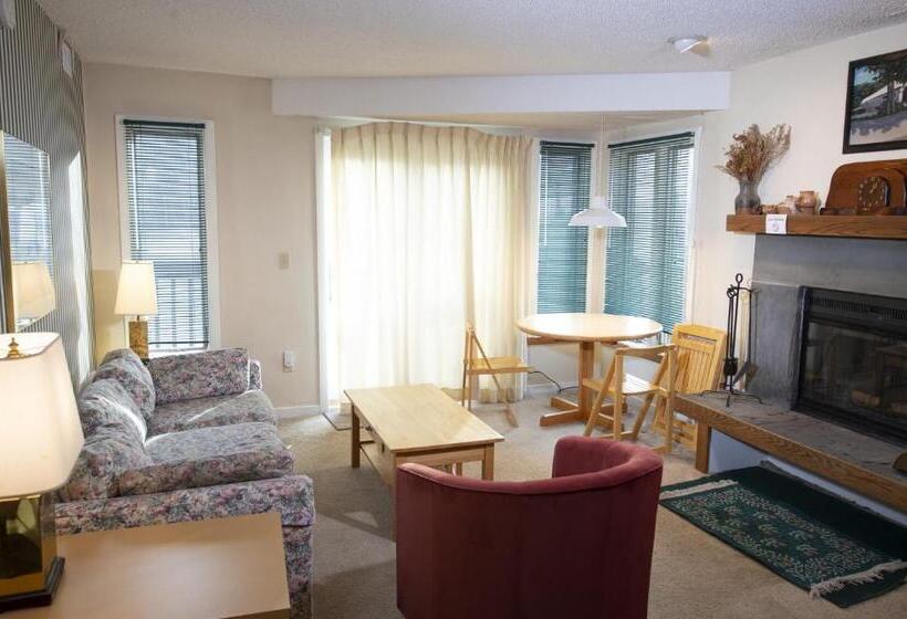 Mountain Lodge At Okemo