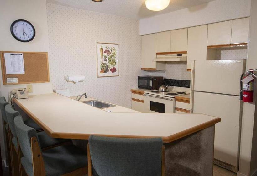 Mountain Lodge At Okemo