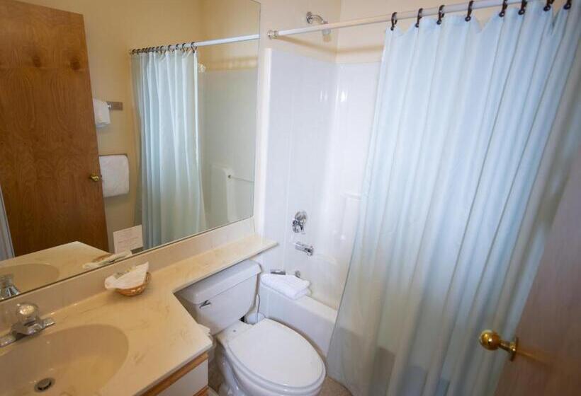 Mountain Lodge At Okemo