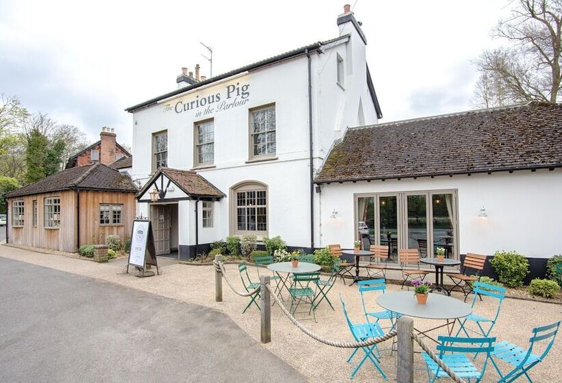 ホテル The Curious Pig In The Parlour