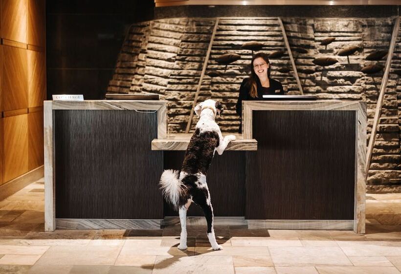 Отель Fairmont Vancouver Airport Gold Experience