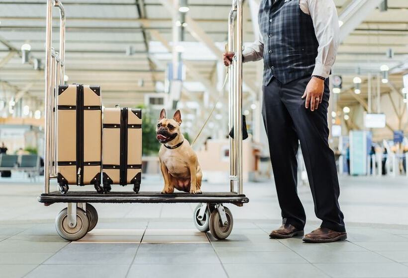 Отель Fairmont Vancouver Airport Gold Experience