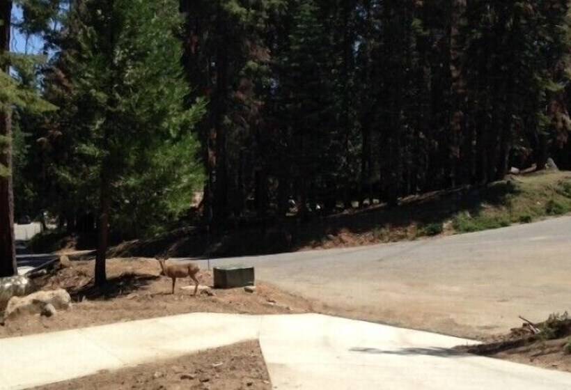 Scenic Wonders Mystic View 3 Bedrooms