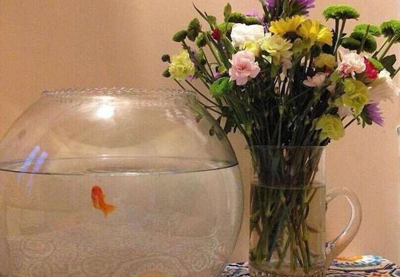 Al Ponte Del Papa B&b