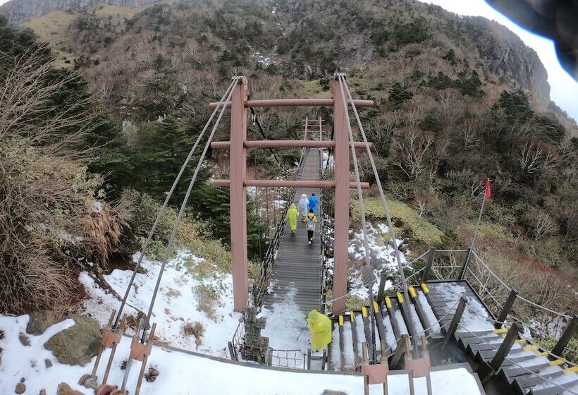 הוסטל Slow Citi Guest House