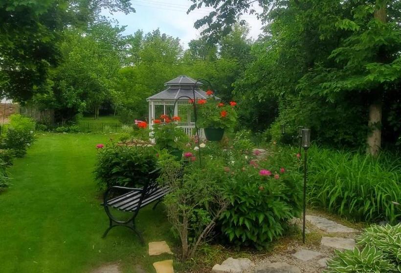 住宿加早餐 Lilly Pad