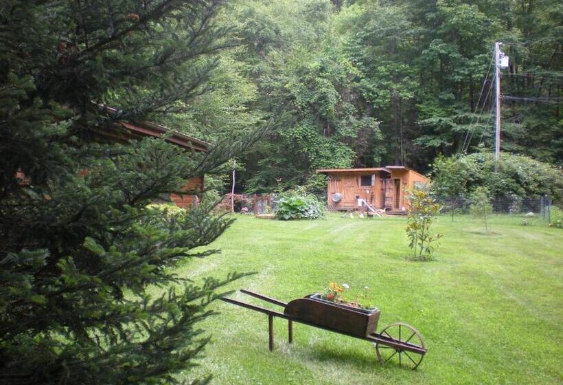 Buffalo Creek Bed & Breakfast