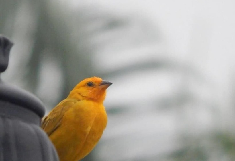 Finca Hotel La Rivera