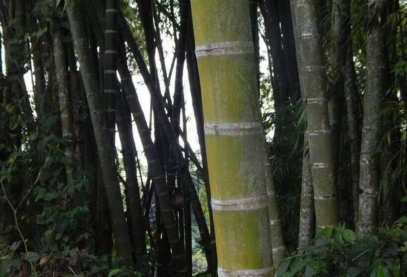 Finca Hotel La Rivera