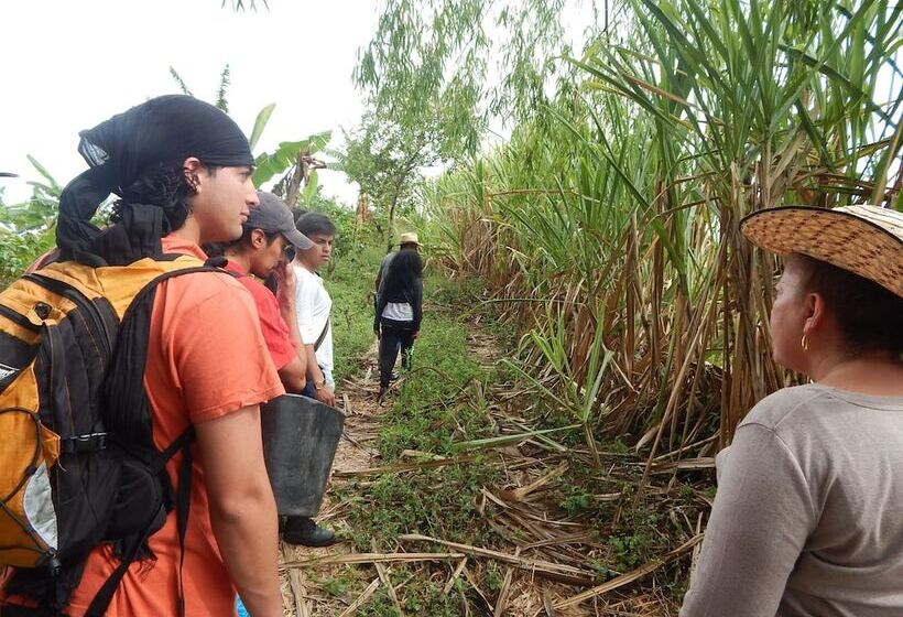 Finca Hotel La Rivera